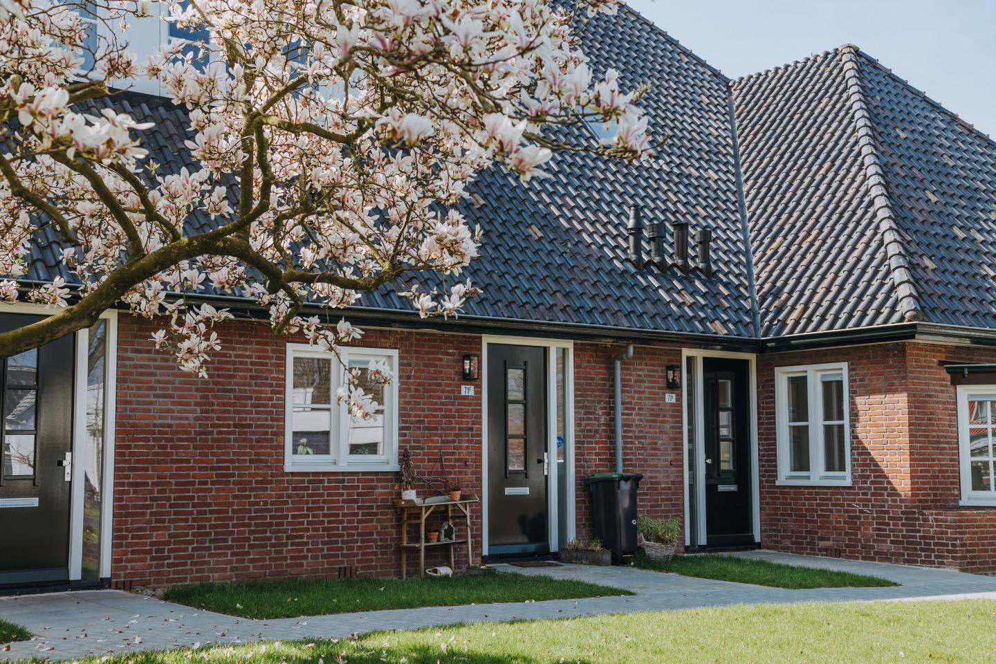 Rijwoningen voordeuren